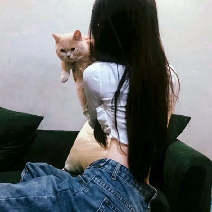 诡计